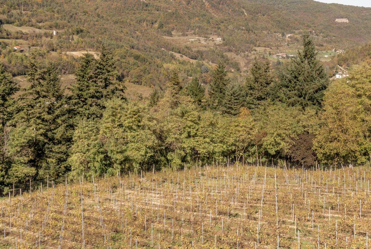 Tenuta Pian D'Attesio - Agriturismo Castelletto Soprano Dış mekan fotoğraf