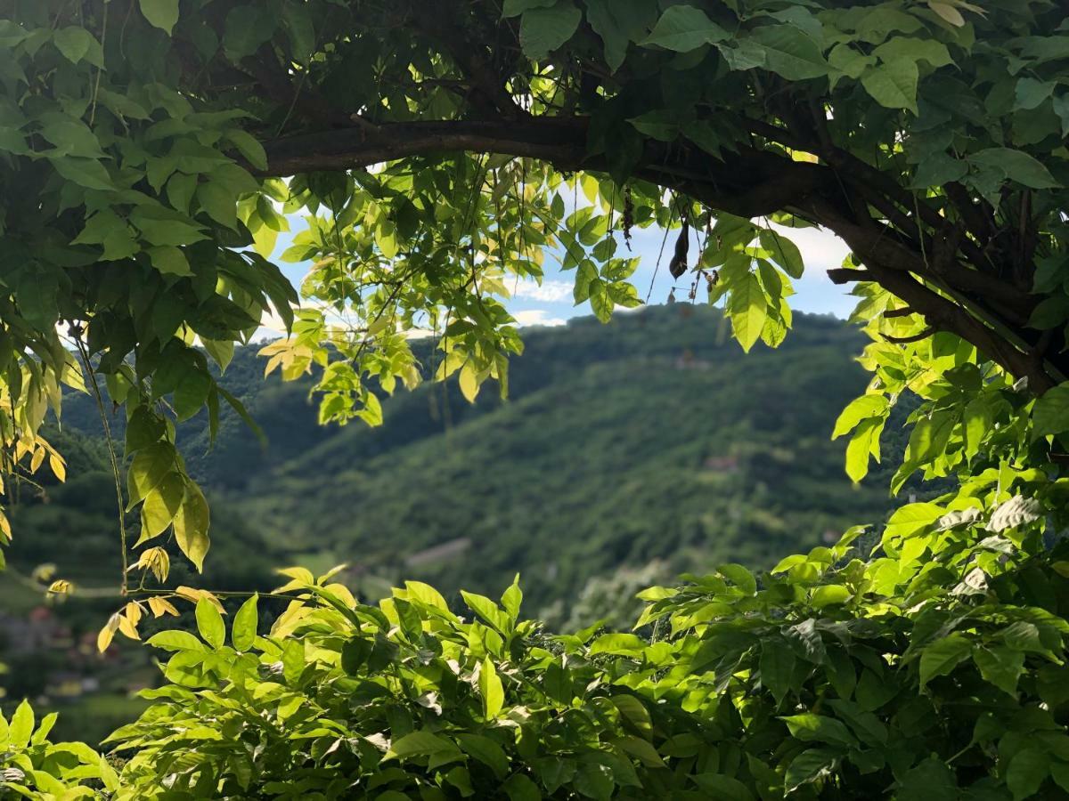 Tenuta Pian D'Attesio - Agriturismo Castelletto Soprano Dış mekan fotoğraf